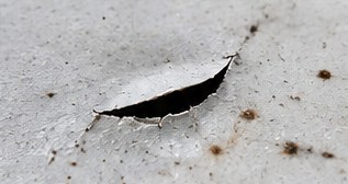 An opened tear in a TPO membrane letting water in